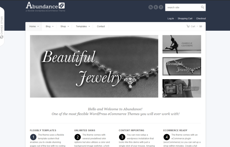 blog
